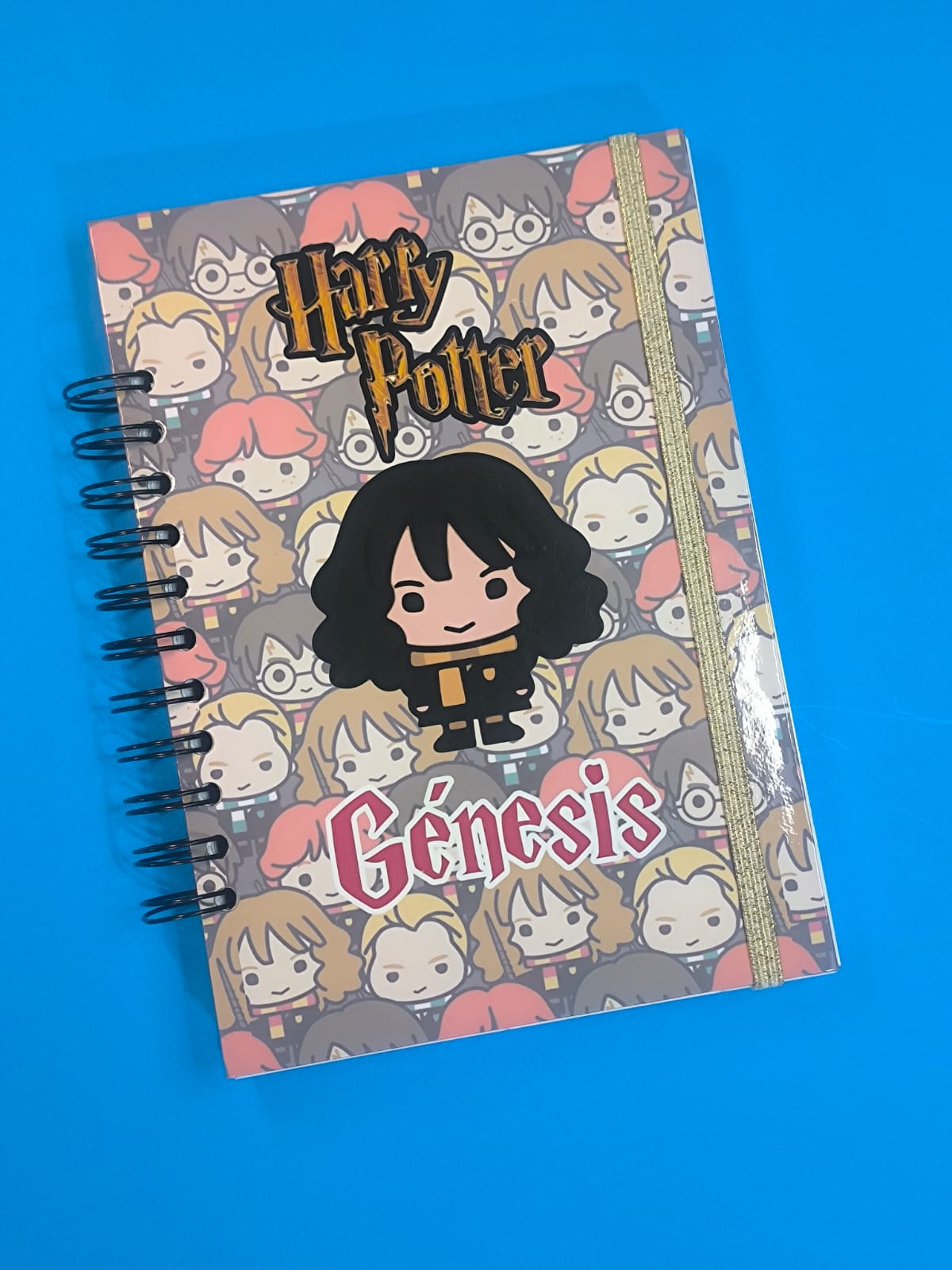 Agenda Cuaderno Diario Libreta de Hermione - Harry Potter